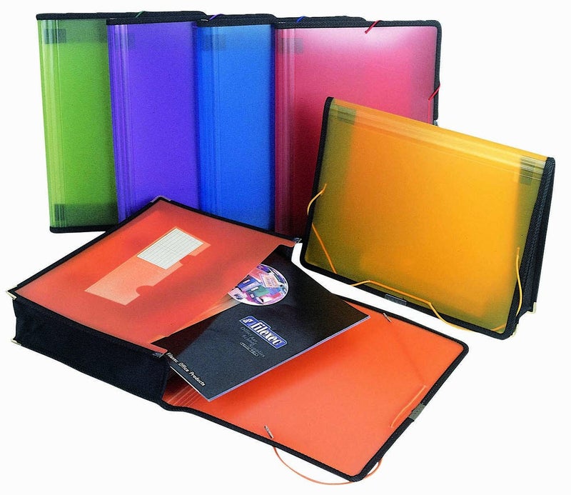 Filexec Single Pocket Expanding File, Letter, Elastic Closure, Assorted, Pack of 6 (50125-3429) - Image 1